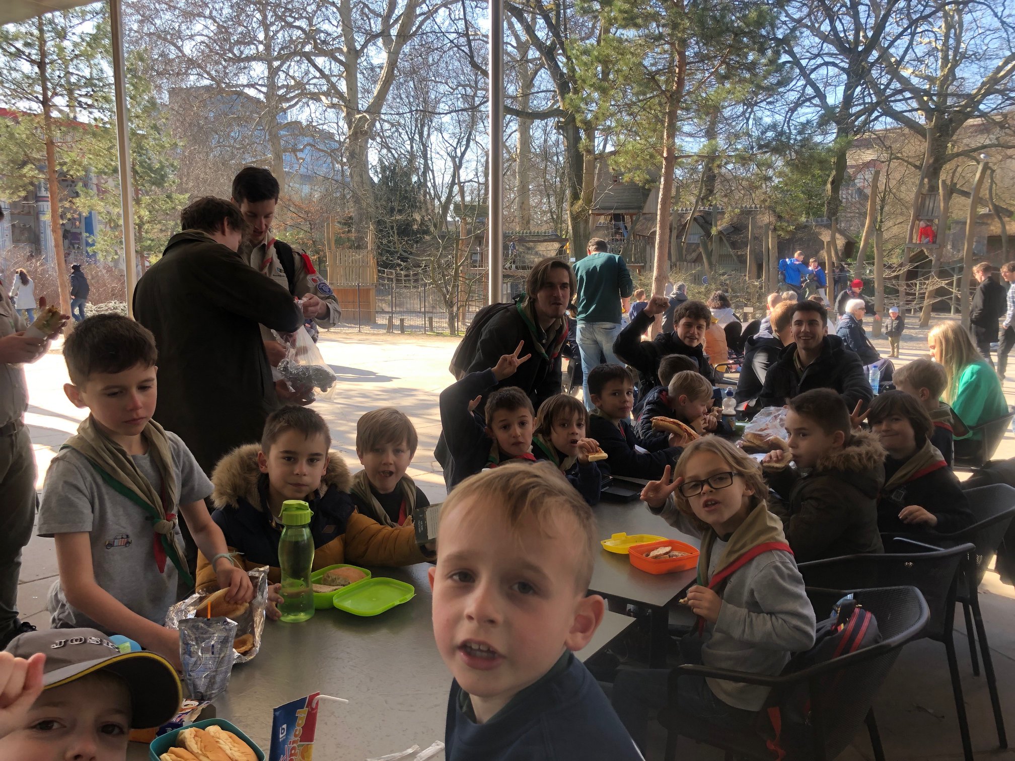 Sint-Martinus den XIIde - Zoo Antwerpen Kapoenen